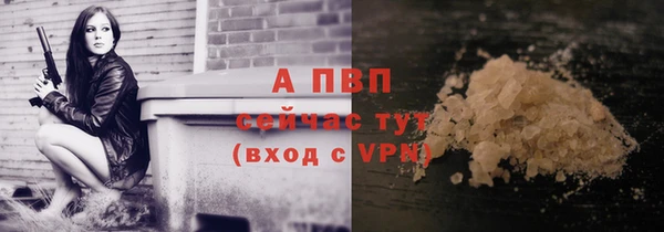 спиды Медвежьегорск