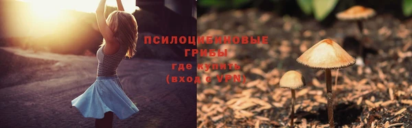 спиды Медвежьегорск