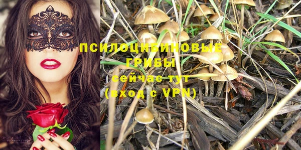 гидропоника Магас
