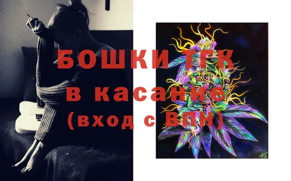 ГАЛЛЮЦИНОГЕННЫЕ ГРИБЫ Медногорск