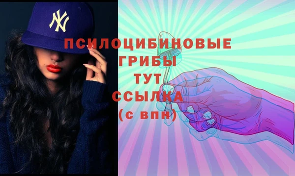 ГАЛЛЮЦИНОГЕННЫЕ ГРИБЫ Медногорск