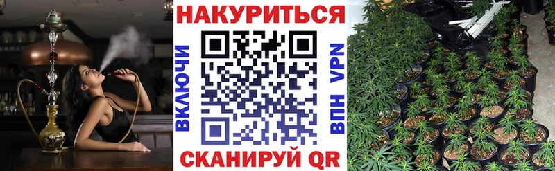 Каннабис White Widow  Крым 